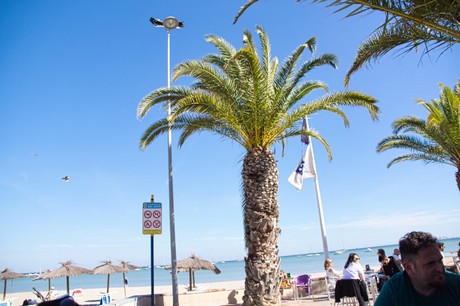 Santiago de la Ribera